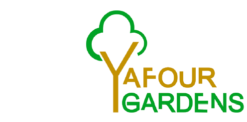 Yafour Gardens